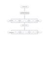 Mapa Conceptual (proceso lector)