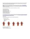 Explore Human Anatomy Models Manufacture Company
