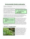 Environmentally Friendly Landscaping - Georgia