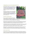 Finding Ways to Create Your Raised Garden Bed