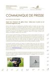 Suivi migration oies cendrées