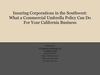 Insuring Corporations in the Southwest: What a Commercial Umbrella Policy Can Do For Your Business