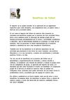 beneficios del futbol
