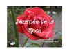 journée de la rose