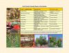 Find Family Friendly Plants in the Garden - Xeriscape - Scottsdale, Arizona