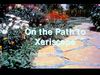 On the Path to Xeriscape - Fort Collins, Colorado