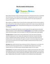Writing Services