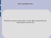 лето овинкина диана.