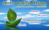 Boletin Naropa octubre 2012