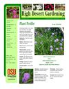 February - March 2009 High Desert Gardening Magazine