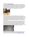 How Carpet cleaning machines are helpful
