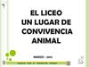 Tenencia responsable de animales