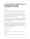 conseptos basicos de salud ocupacional