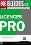Licence pro, Académie de Lyon, 2012-2013