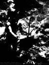 Madrid 15 de agosto 1959 ABC 6