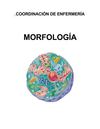 LECTURA 1: MORFOLOGÍA