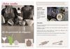 Fiches recettes - Box Bloggeuses