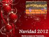 Mi Artesanía Navidad 2012 