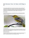 Bird Adventure Tours- For Nature with Wings on it!