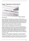 Chapter 13 Bankruptcy in Carmel Valley CA