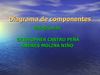 DIAGRAMA DE COMPONENTES 