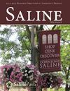 Saline 2012