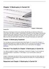 Chapter 13 Bankruptcy in Carmel CA