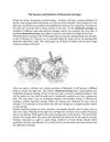 The beauty and fashion of diamond earrings :