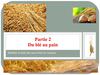 Du blé au pain