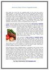 Necessary Steps to Grow a Vegetable Garden - Copy