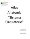 Atlas Sistema Circulatorio 