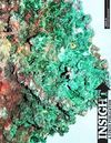 INSIGHT magazine: Ground and Water