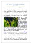 Some Vital Issues To Consider To Choose Best Fish Tank For Kids