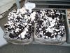 How To Grow Mushroom At Home