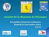 Assemblée Générale Comité de la Mayenne de Pétanque 2012