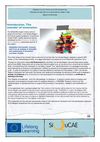 RPL governance model_mid term report