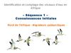 Formation oiseaux d'eau Afrique. Séq 1 identification Afrique sahélienne 2012