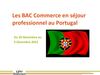 Séjour Professionnel à Lisbonne pour les BAC PRO Commerce