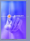 ITE HOLDINGS | Annual Report 2001
