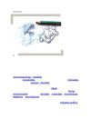 El Diseño Grafico