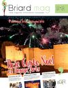 Briard Mag n°191 / Décembre 2012