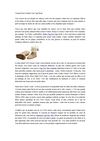 Conseils Pour Acheter Tose Ugg Boots
