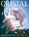 Cristal Global Dec 2011 Issue 7