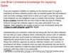 Use Brian Linnekens knowledge for repaying Debts