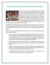 How Do You Know You’re Using the Best Sports Betting Systems