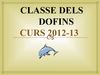 CLASSE DELS DOFINS