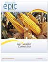 DAILY AGRI REPORT BY EPIC RESEARCH- 1 JANUARY 2013