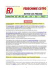 FEDECHIMIE CGTFO - Semaine 02 - 2013
