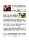 Alcool et drogue : ennemis n°1 au travail