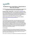 NanoMarkets Issues Latest Report on Opportunities for Silver Inks and Pastes